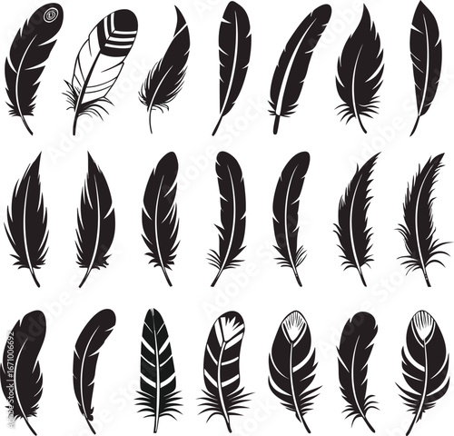 Collection of twenty one black and white feather illustrations in various shapes and designs on white