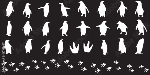 penguins, silhouette, white, black background, collection, group, animals, wildlife, arctic, antarctic, birds, flightless, waddling, walking, footprints, tracks, pattern, repetition, icons, symbols, c
