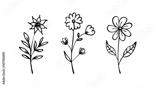 Delicate floral line art with leaves and buds flower botanical