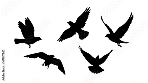 Flock of birds in flight and perched on white background flying silhouette