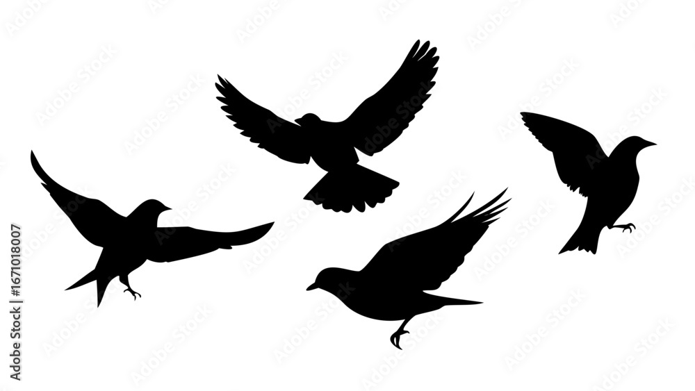 Obraz premium Four Sparrows Perched Together birds flying