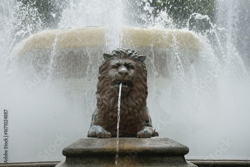fountain in the park