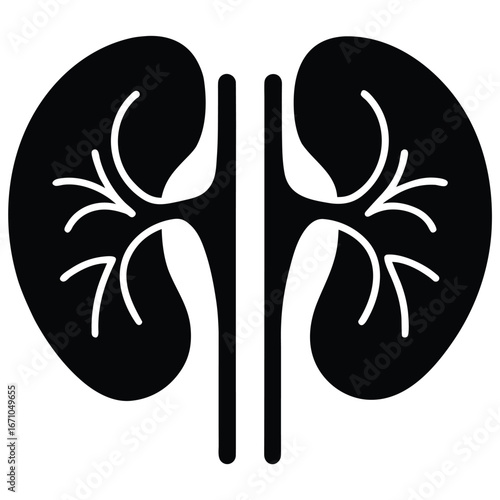 Black kidney diagram with white vessels human anatomy