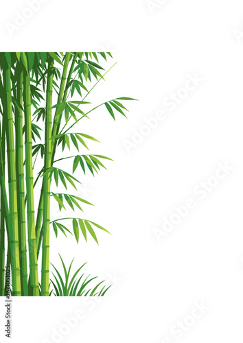 Realistic Bamboo Plant