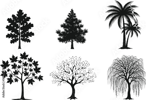 Silhouette vector collection of different tree types including oak, pine, palm, maple, cherry, and willow for nature design projects.