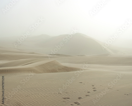 Beautiful natural landscape with sand dunes in the desert at sunset