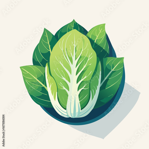 Napa Cabbage vector icon illustration with clean, modern detail and balanced composition.