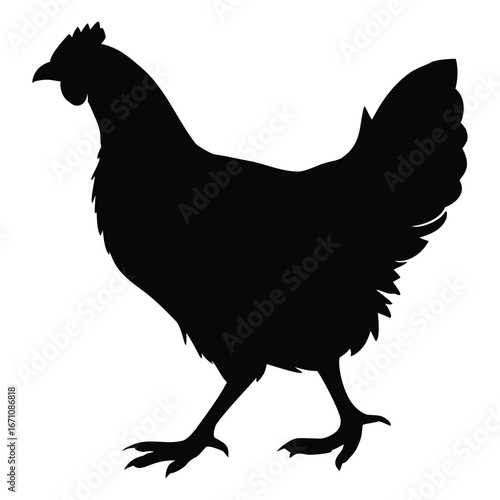 orpington hen black vector isolated on white background