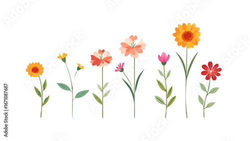 Colorful blooming flowers with green stems floral nature