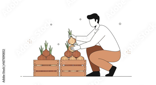 Farmer Displaying Arrangement Of Freshly Harvested Onions In Wooden Crates For Sale