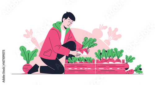 Farmer Harvesting Fresh Produce From His Garden, Celebrating Organic Food And Healthy Living