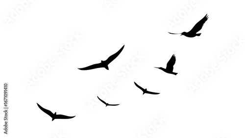 Flock of birds in flight flying silhouette