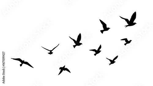 Flock of Birds in Flight Silhouette flying wings