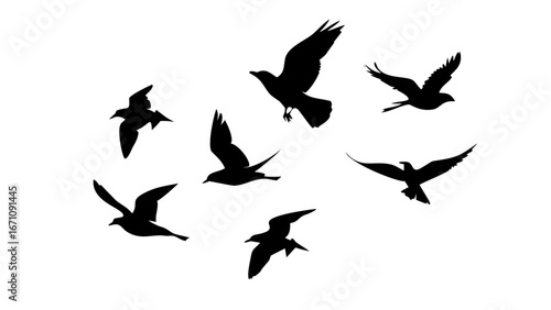 Flock of Crows in Flight black birds flying