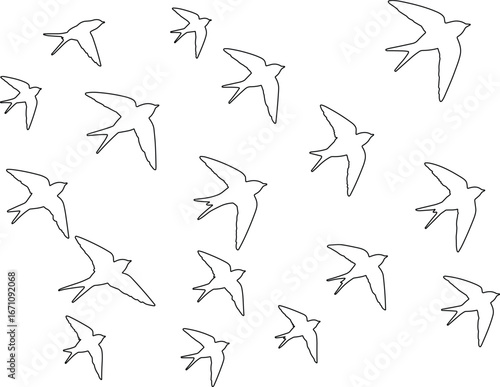 Outline drawings of swallows flying in various directions on white bird