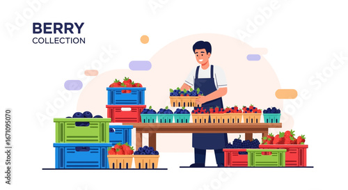 Fruit Vendor Preparing Berry Assortment For Sale At The Local Farmers Market