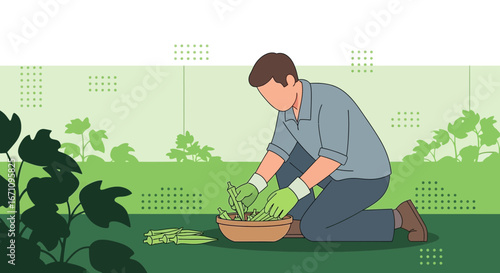 Gardener Harvesting Okra in Illustration Depicting Cultivation and Sustainable Living