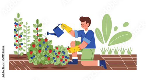 Gardener Watering Berries and Fruits in a Colorful and Cheerful Illustration