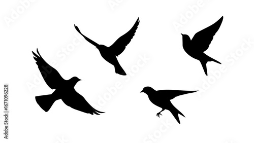 Minimalist Black Silhouette of a Cat animal