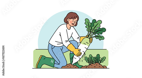 Woman Harvesting A Giant Daikon Radish In Her Garden On A Sunny Day