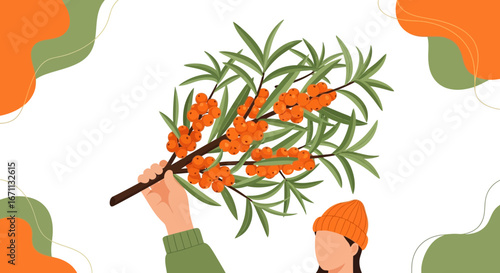 Sea Buckthorn Illustration: Autumnal Harvest Displaying Orange Berries and Green Foliage