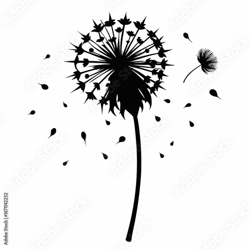 wind dandelion breez flower silhouette vector illustration  on-white