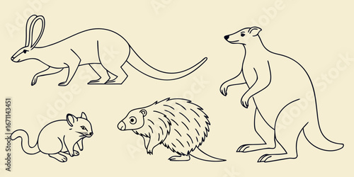 Minimalist line art  Australian wildlife icons, clean black outline vector illustration, editable stroke
