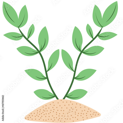 Green leafy plant growing from sand illustration, flat minimal style, isolated on white background for eco, nature, and decoration design.