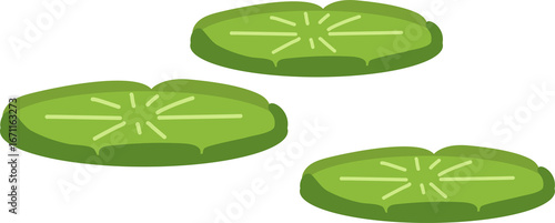 Victoria Amazonica, Lotus Leaf, Floating Giant Leaves of Victoria Amazonica Plant