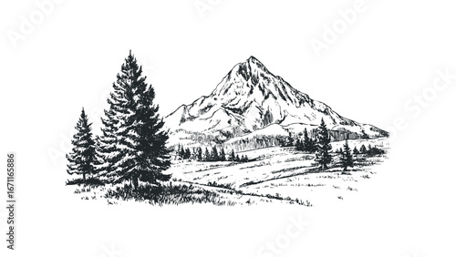 Hand drawn sketch of a majestic mountain peak surrounded by pine trees and grassy hills. Vector hand drawn illustration