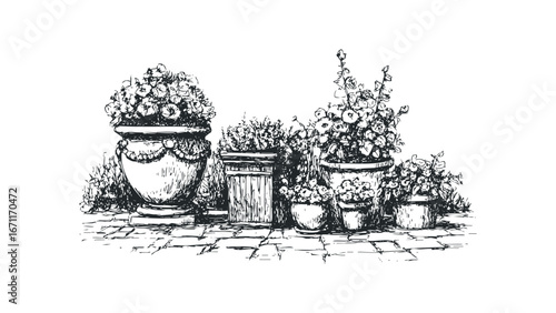 Pen and ink sketch of ornamental flower pots displayed on a cobblestone path. Vector hand drawn illustration