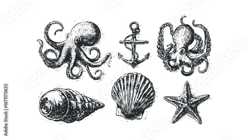 Vintage Nautical Illustrations of Octopus, Anchor, Seashell, and Starfish. Vector hand drawn illustration