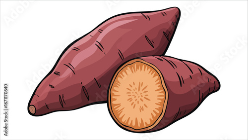 whole and halved sweet potato with natural texture vector art isolated on white background