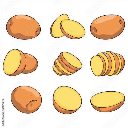 organic potato collection with various shapes and sizes vector art isolated on white background