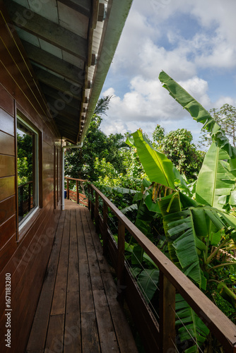 A serene wooden walkway leading to lush greenery and tropical foliage.