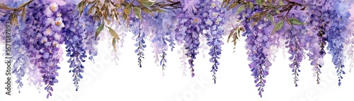 A beautiful watercolor illustration of cascading wisteria flowers in shades of purple, creating a serene and elegant floral display.