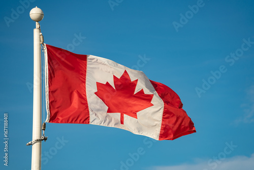 Bandera de canada ondeando