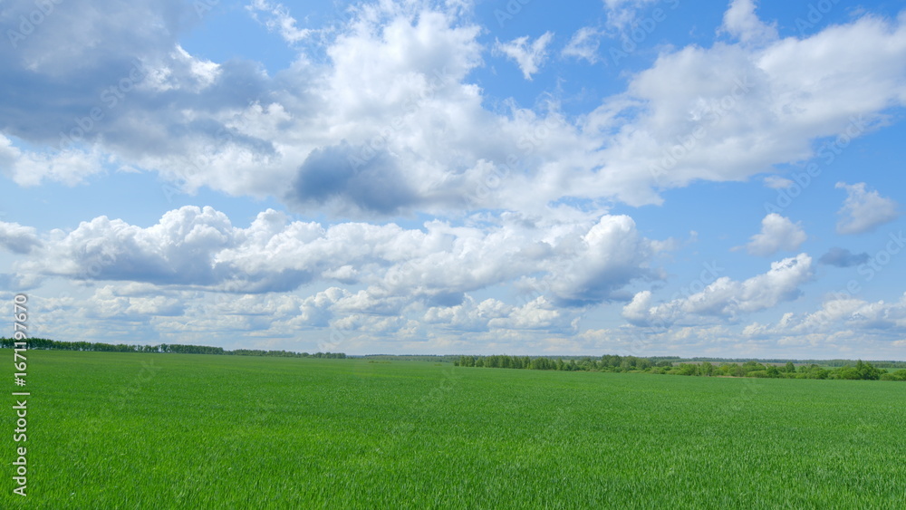 A vast expanse of green fields under a bright blue sky adorned with fluffy white clouds A vast expanse of green fields under a bright blue sky adorned with fluffy white clouds