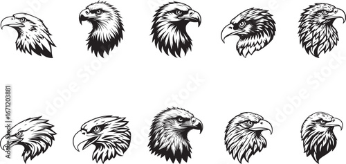 Eagle Head Vector Icons | Bold Bird of Prey Silhouettes Illustration Isolate on White Background 