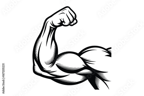 Muscular bicep flexing arm illustration