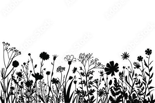 Silhouette of wildflowers and grasses against a white background