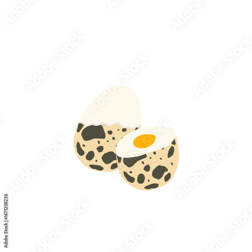 Quail egg illustration. Whole and cut quail eggs. Egg illustration. Boiled quail eggs. Quail egg shell design