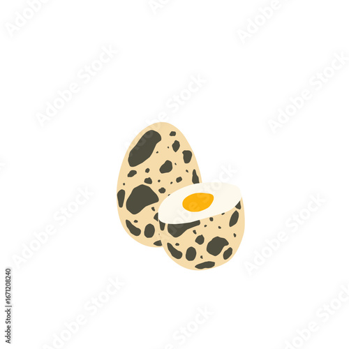 Quail egg illustration. Whole and cut quail eggs. Egg illustration. Boiled quail eggs. Quail egg shell design