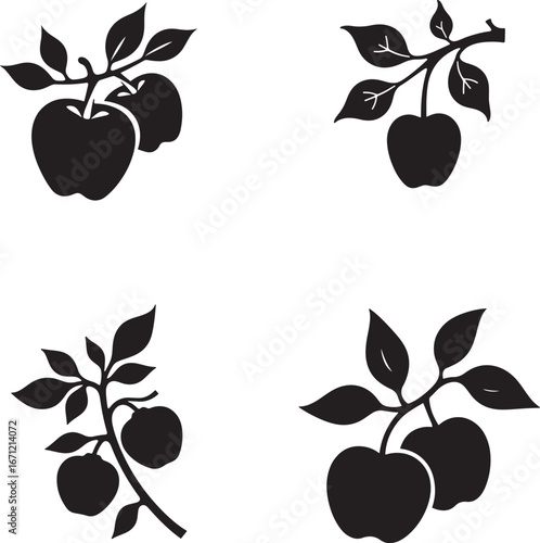 Apple Silhouette Icons  Set  – Fruit Vector Illustration Isolate on White Background 