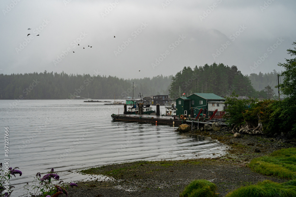 Fototapeta premium Amanecer con bruma en Tofino Canada