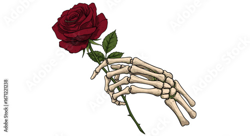 Gothic Skeleton Hand Holding Deep Red Rose Symbolizing Love Death and Eternity Isolated on Transparent Background