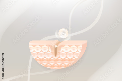 Hyaluronic acid and Niacinamide skin solutions ad, white collagen serum drops into skin cell with cosmetic advertising background ready to use, illustration vector.