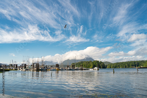 Paisaje de Tofino Canada