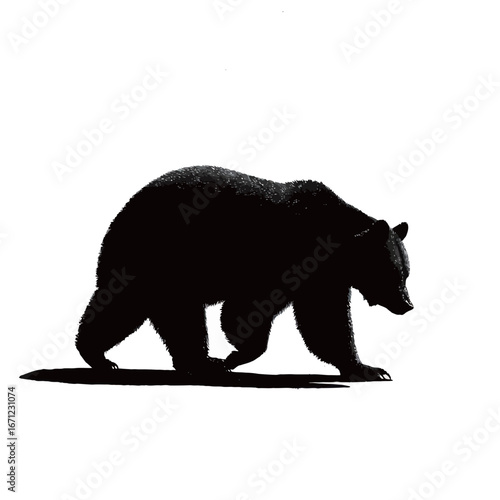 A black bear is seen walking in silhouette against a plain white background. The bears powerful form conveys grace and strength as it moves deliberately.