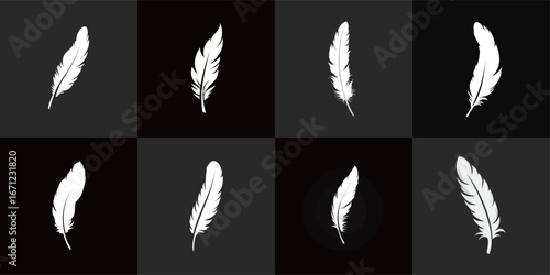 A total of nine white feathers arranged on a black background, displaying different angles and sizes, highlighting their delicate features and graceful designs.